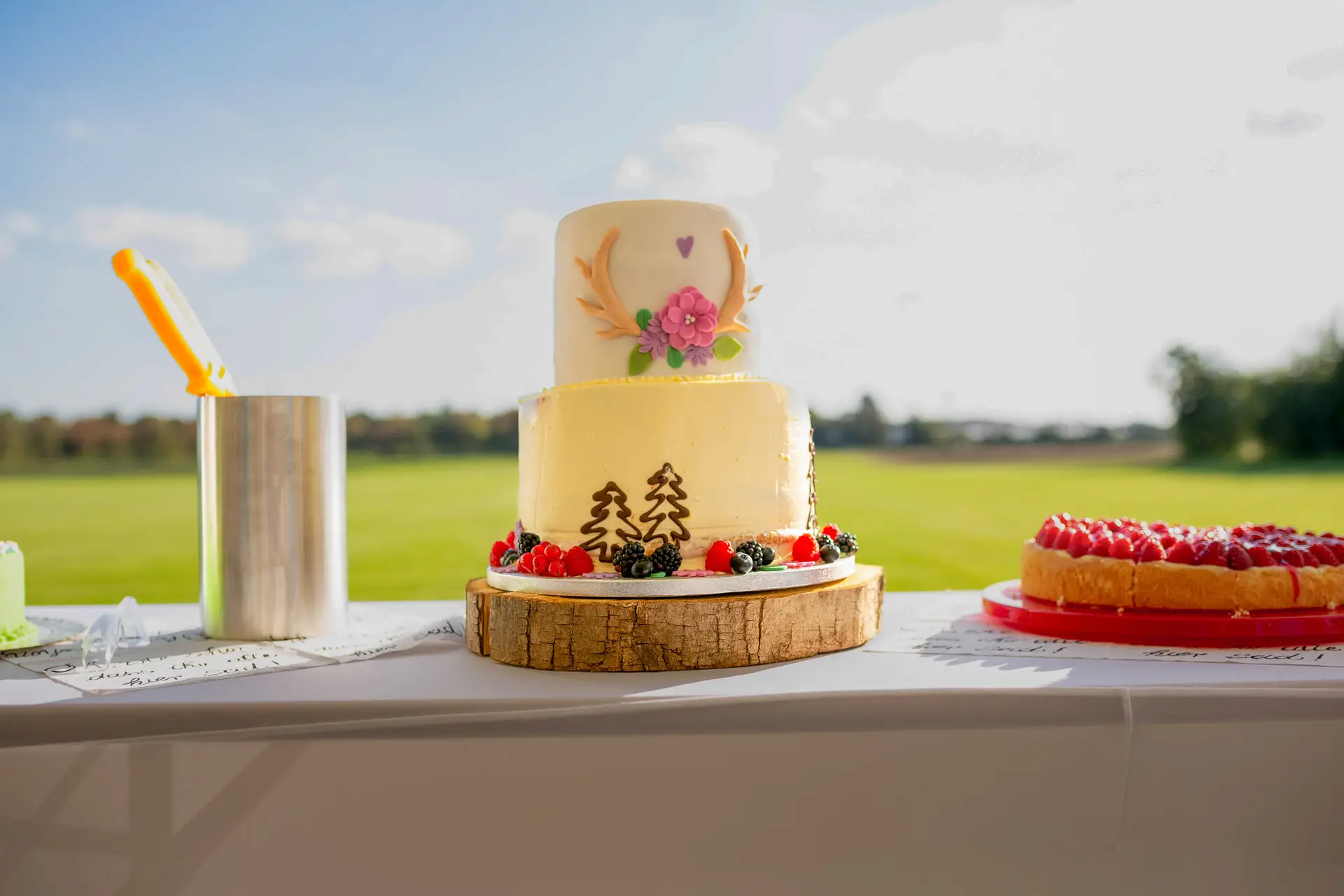 Hochzeitstorte mit Blumen, Beeren und Holzscheibe auf grünem Rasen