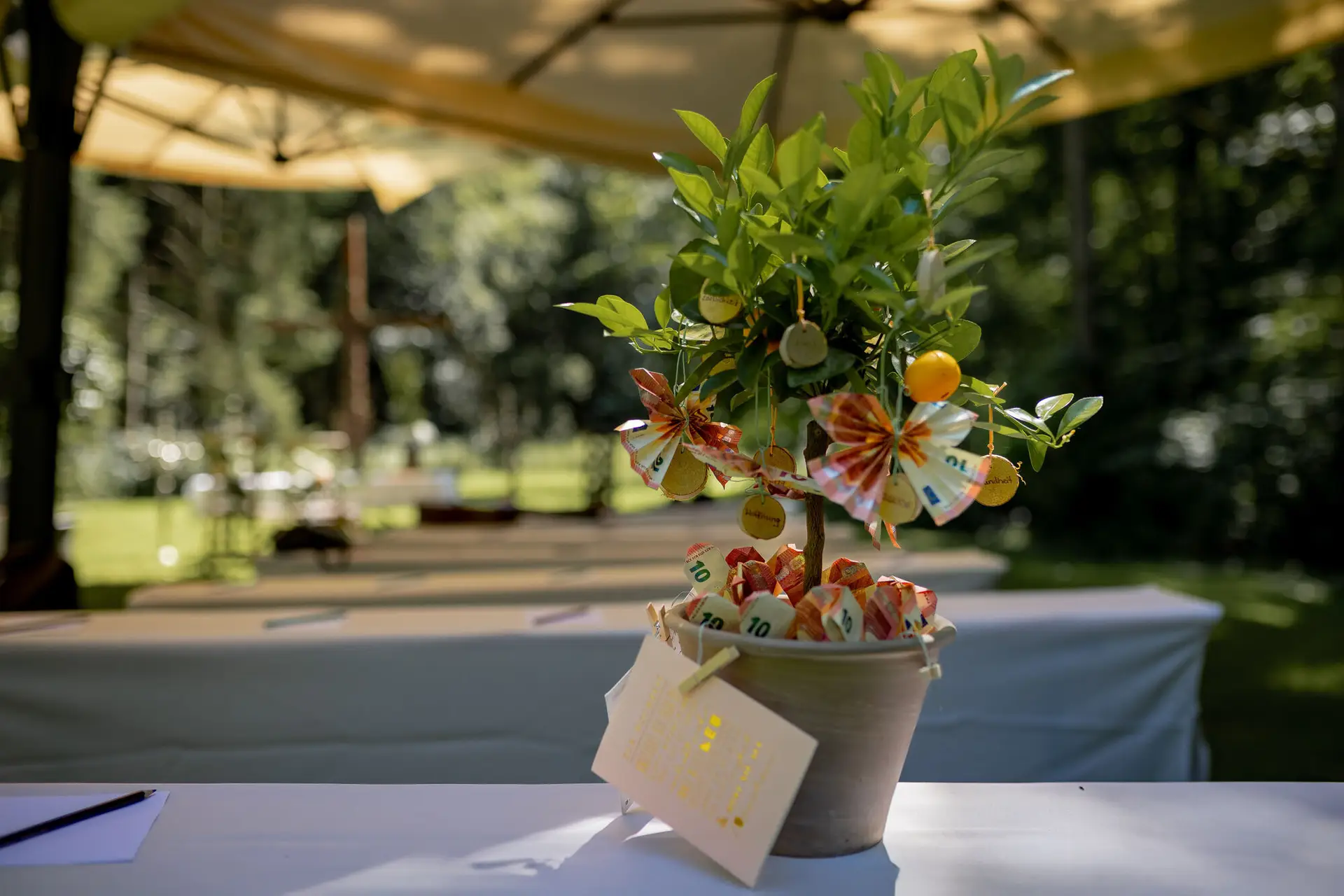 Kreatives Geldgeschenk der Gäste: Topf mit Zitruspflanze liebevoll mit Geldscheinen geschmückt