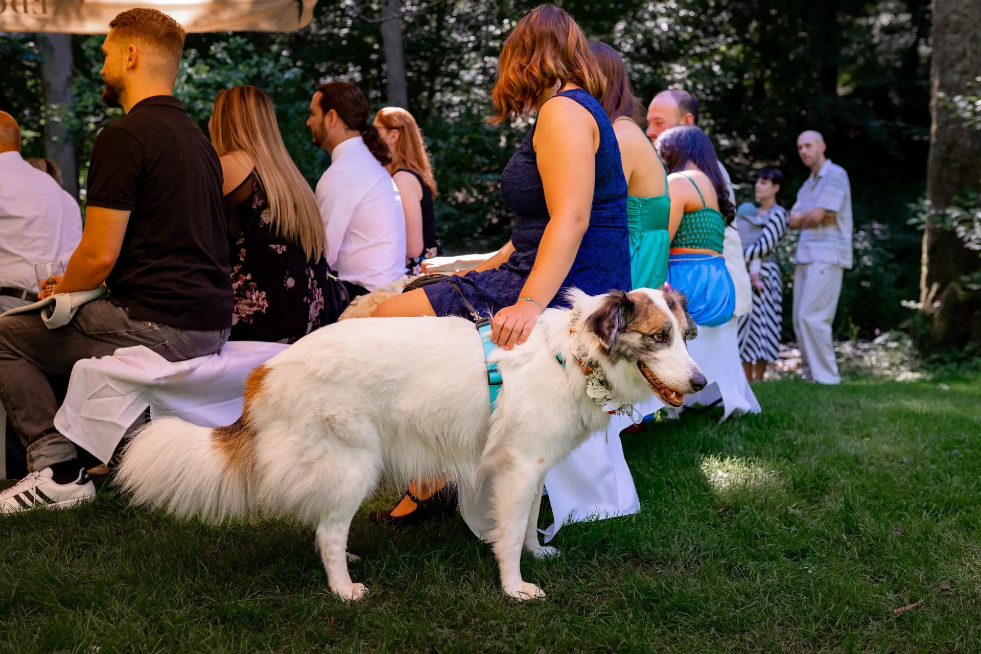 Hochzeitsgäste entspannen unter den Bäumen beim Empfang, weißer Hund wird liebevoll gestreichelt