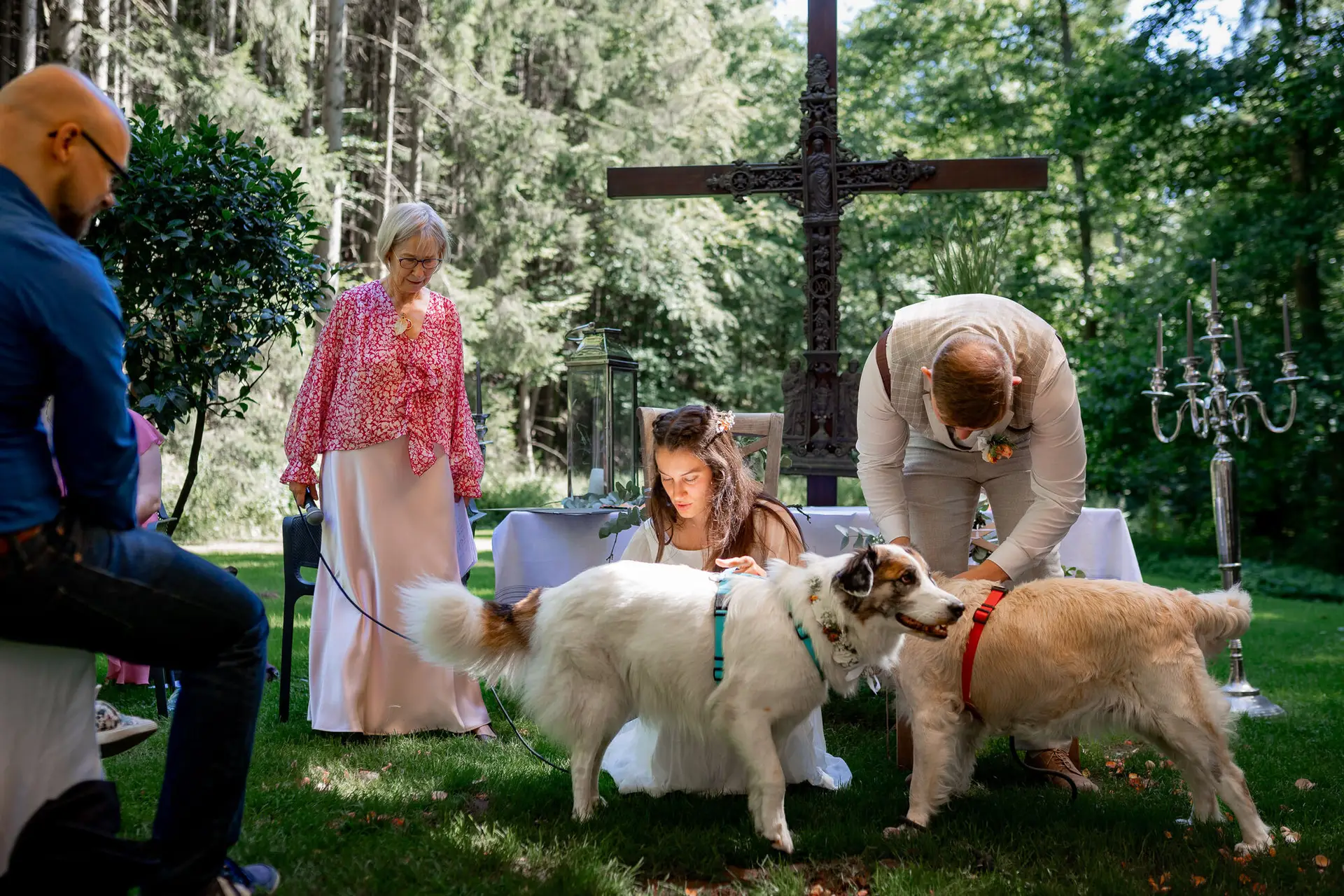 Brautpaar bei der Zeremonie, Hunde lecken begeistert die Beine – niemand kann ernstbleiben