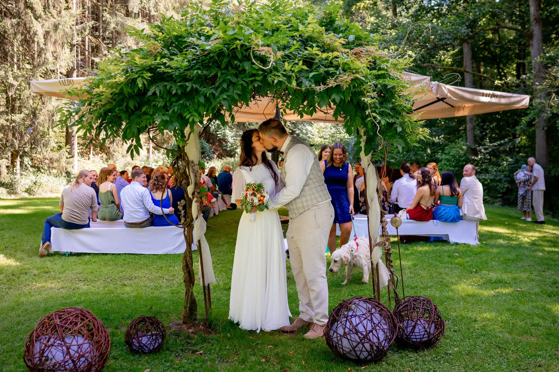 Brautpaar küsst sich beim Auszug nochmals, weiße Hündin schaut zu, Gäste jubeln