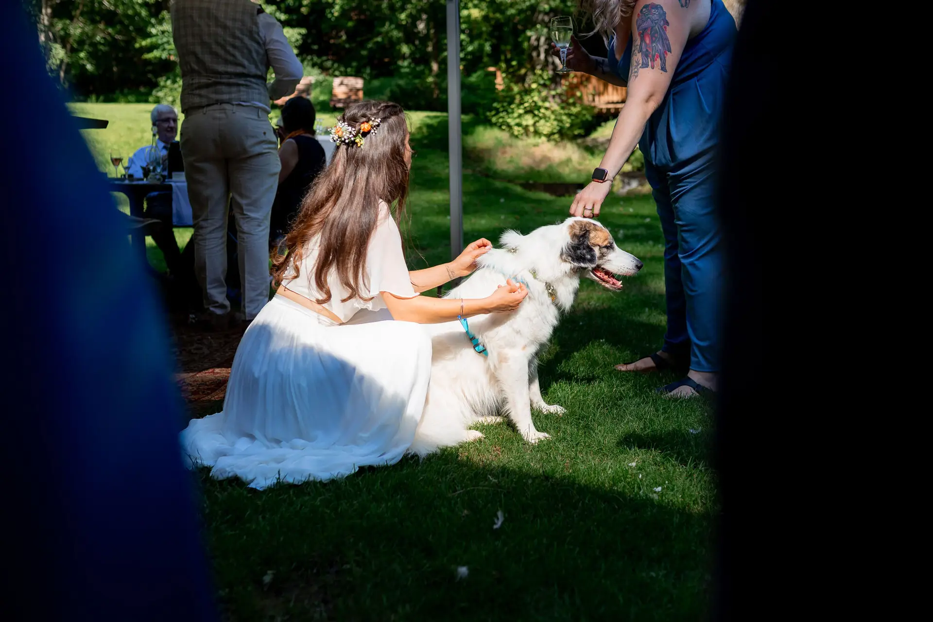 Braut und weißer Hund auf der Wiese – eine Frau versucht dem Hund beim Sektempfang etwas anzubieten