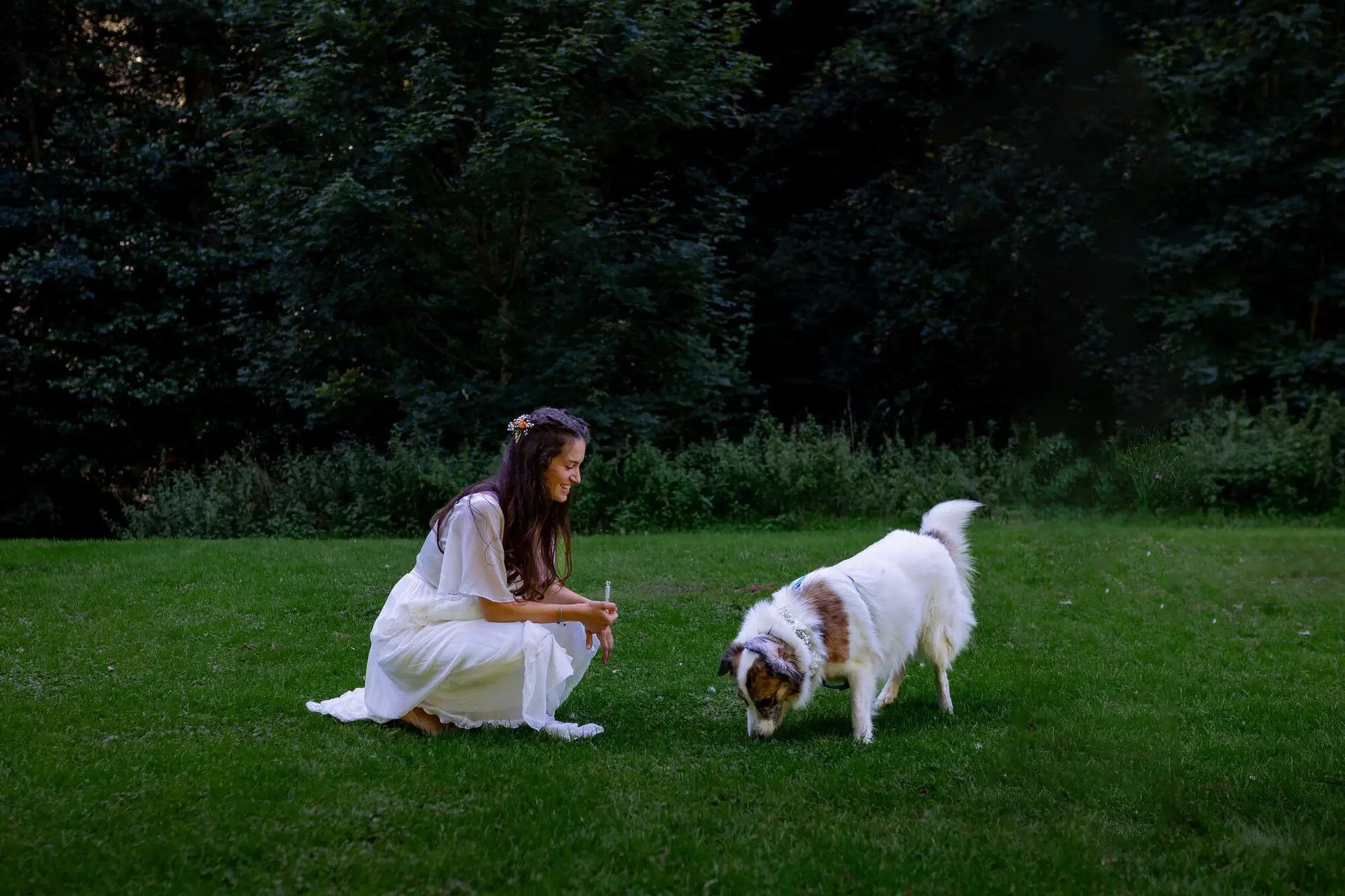 Braut sitzt auf grüner Wiese und bietet dem braun-weißen Hund eine Blume an