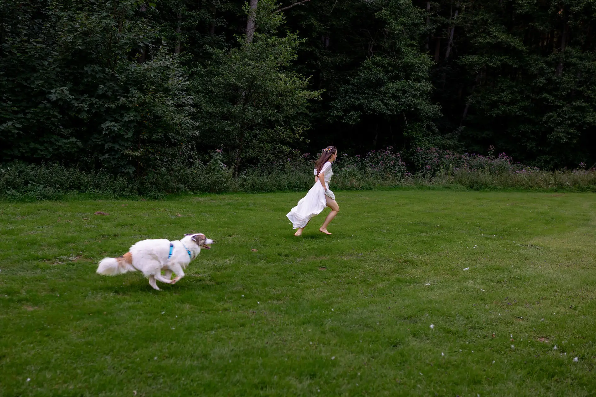 Braut läuft lachend über die sommerliche Wiese, weißer Retriever hinterher