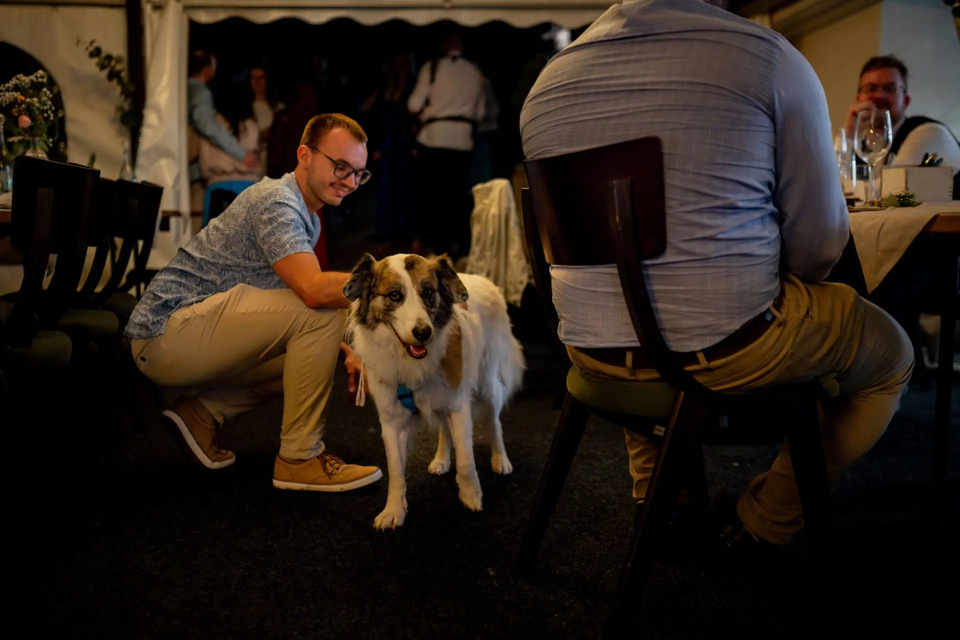 Gast streichelt liebevoll den weißen Hund bei später Feier – Hunde bleiben bis zum Schluss dabei