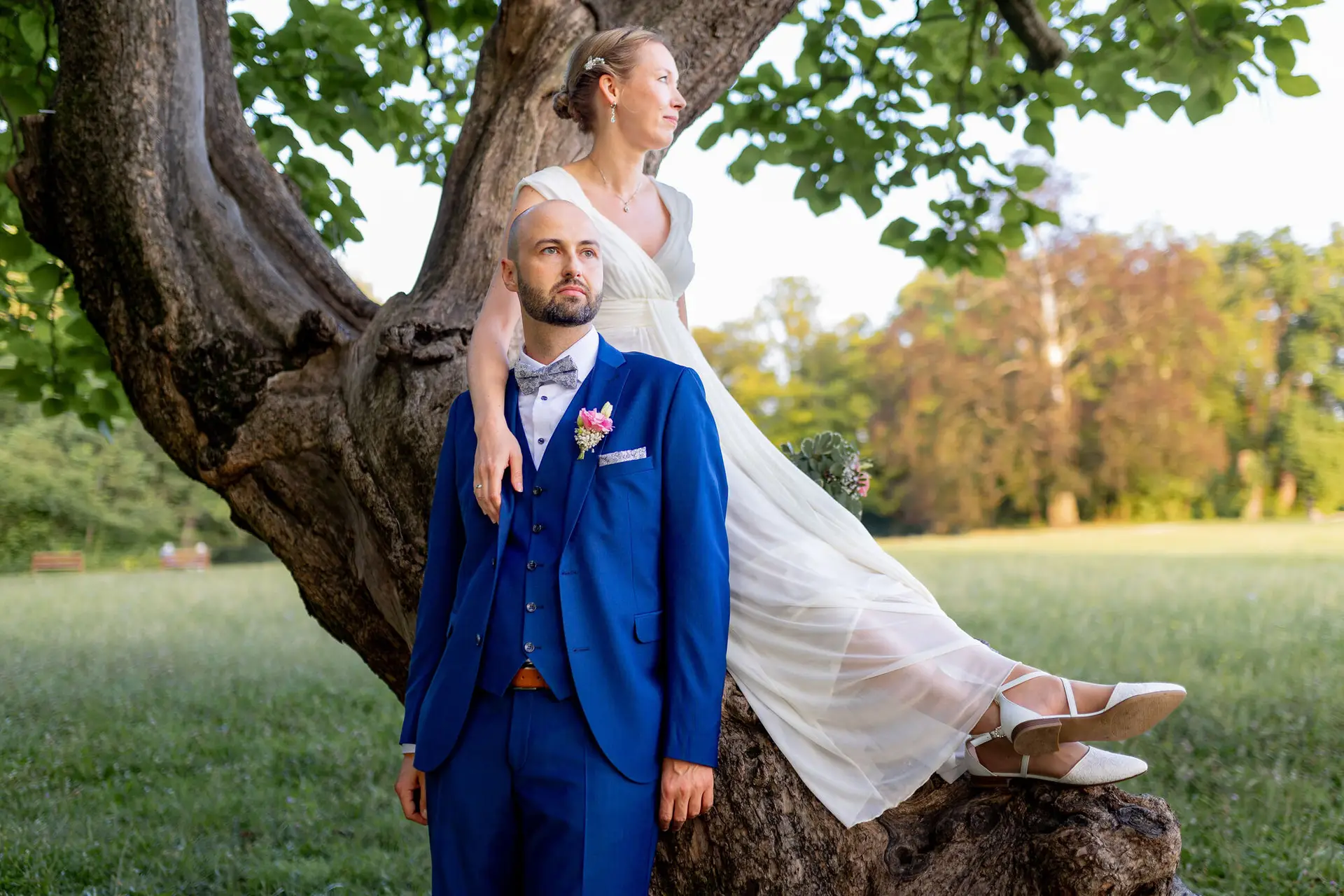 Brautpaar posiert unter einem großen alten Baum im Park, Braut hält den Schleier