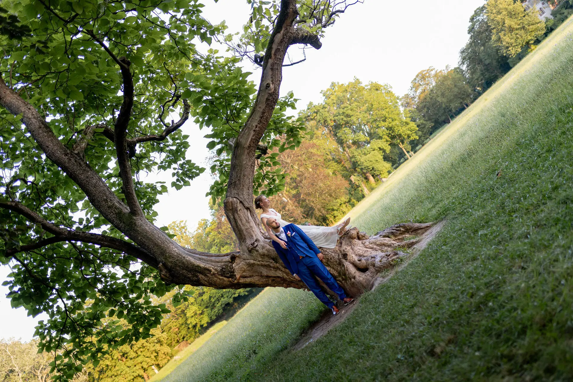 Brautpaar liegt verspielt an den Wurzeln eines großen alten Baumes auf der grünen Wiese