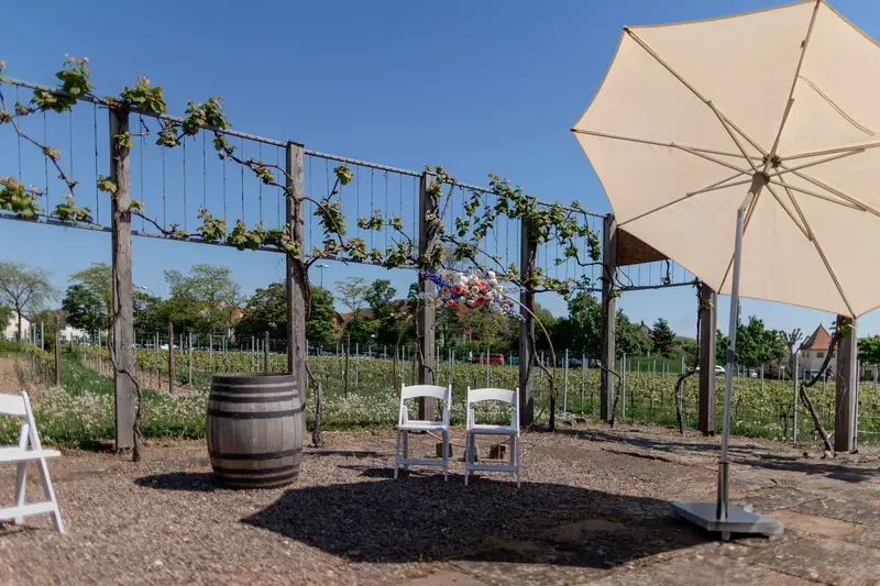 Weingut Fitz-Ritter - Impression 2