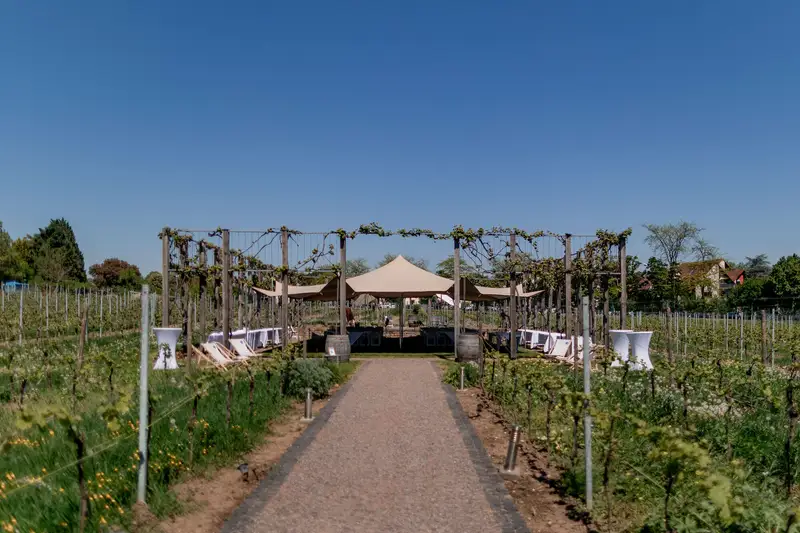 Weingut Fitz-Ritter - Impression 1
