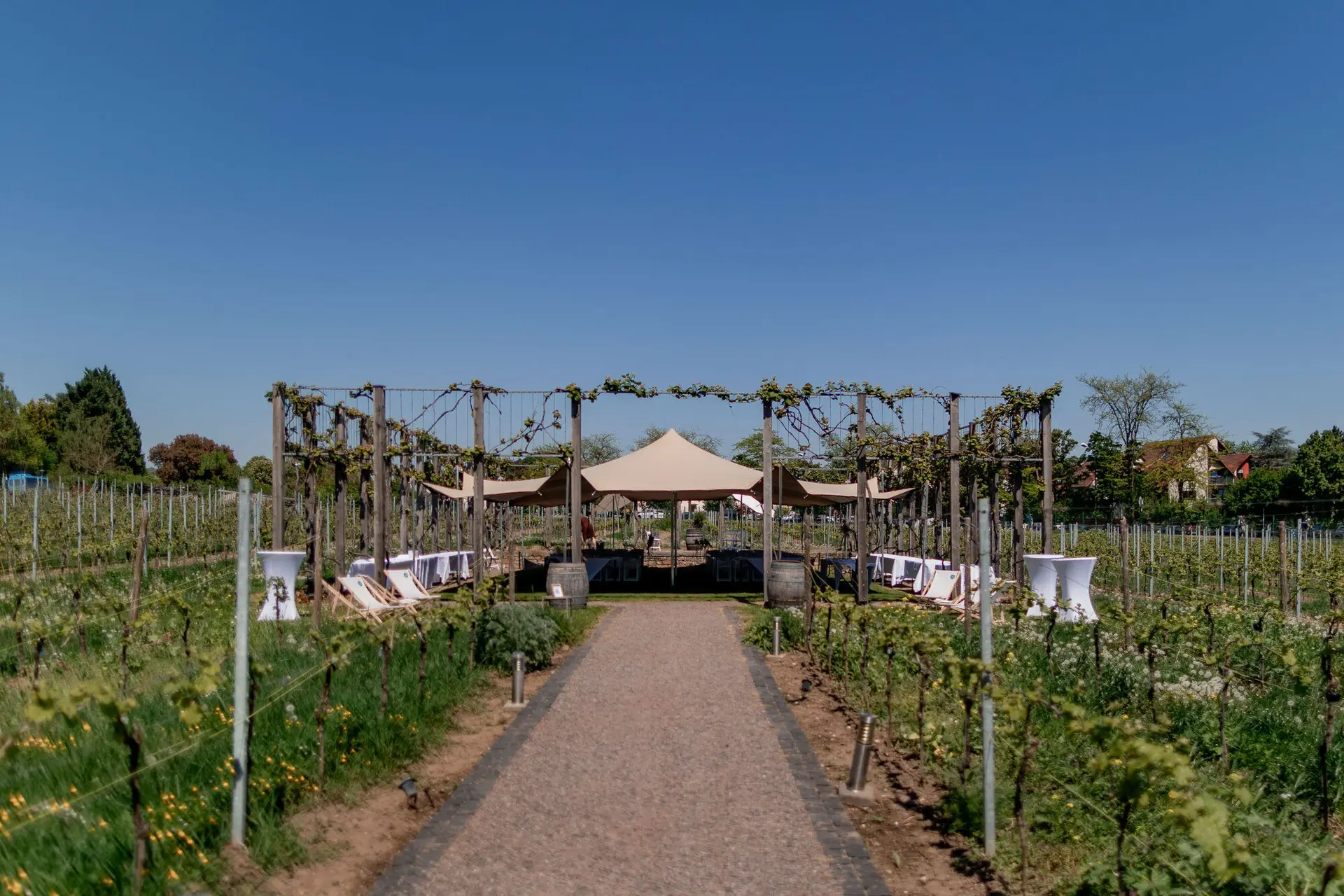 Traumhafte Zeremonie-Location zwischen Weinreben mit Blumenbogen und Pavillon