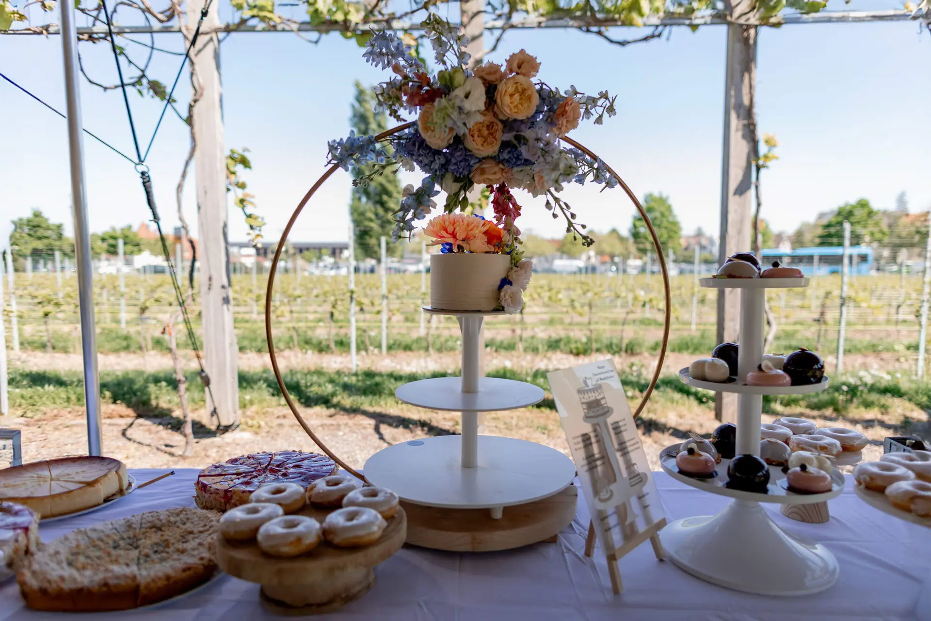 Trauzeugin arrangiert Brautkleid-Schleppe zwischen den Weinstöcken