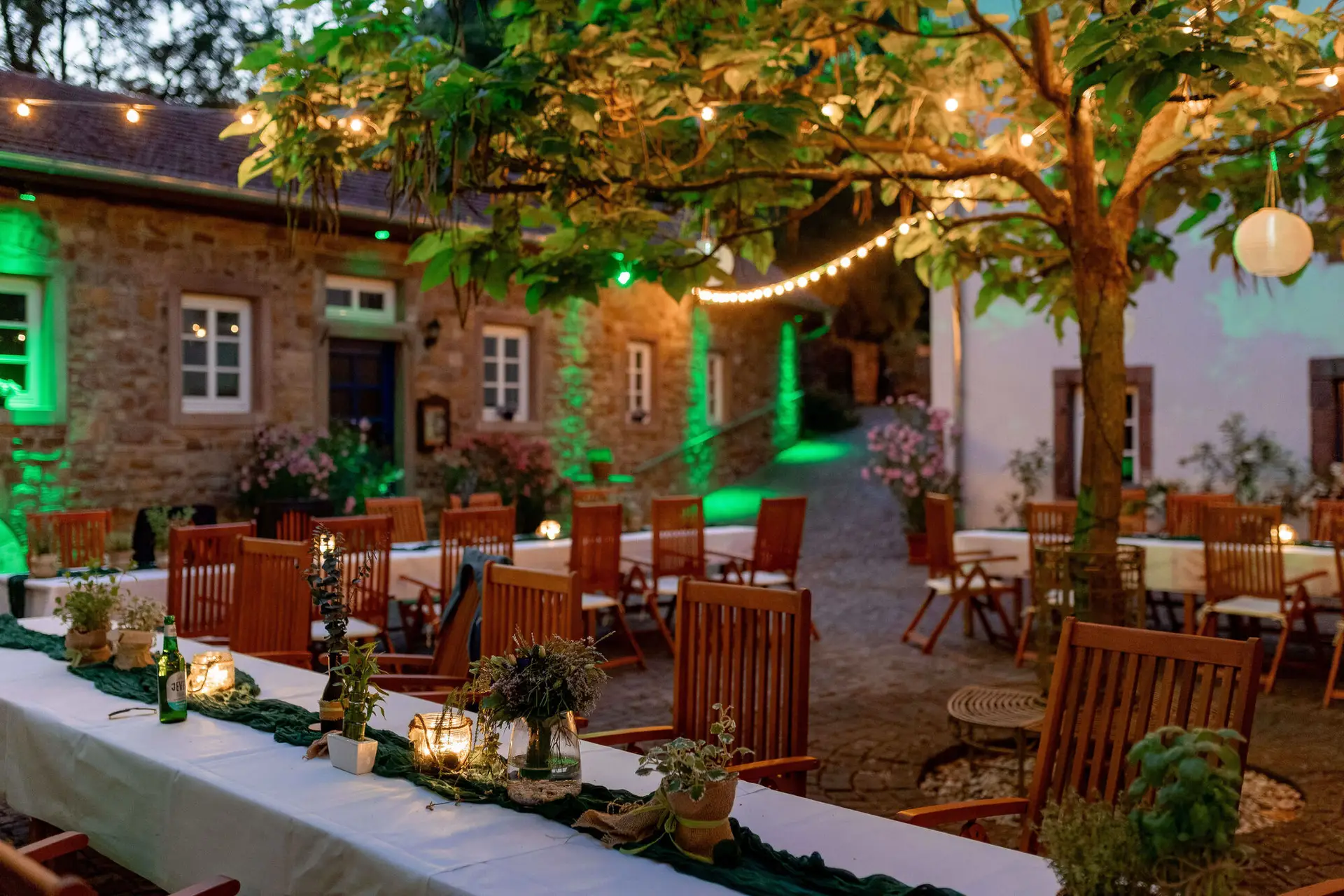 Brautpaar unter Traubogen mit blauer Beleuchtung im Garten am Abend