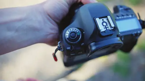 Die Automatik deiner Kamera - Gut oder Schlecht?