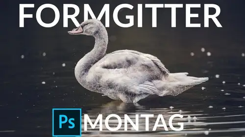 Das Formgitter in Photoshop