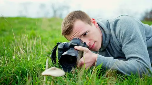 Wie fotografiere ich: Makros ohne Makroobjektiv