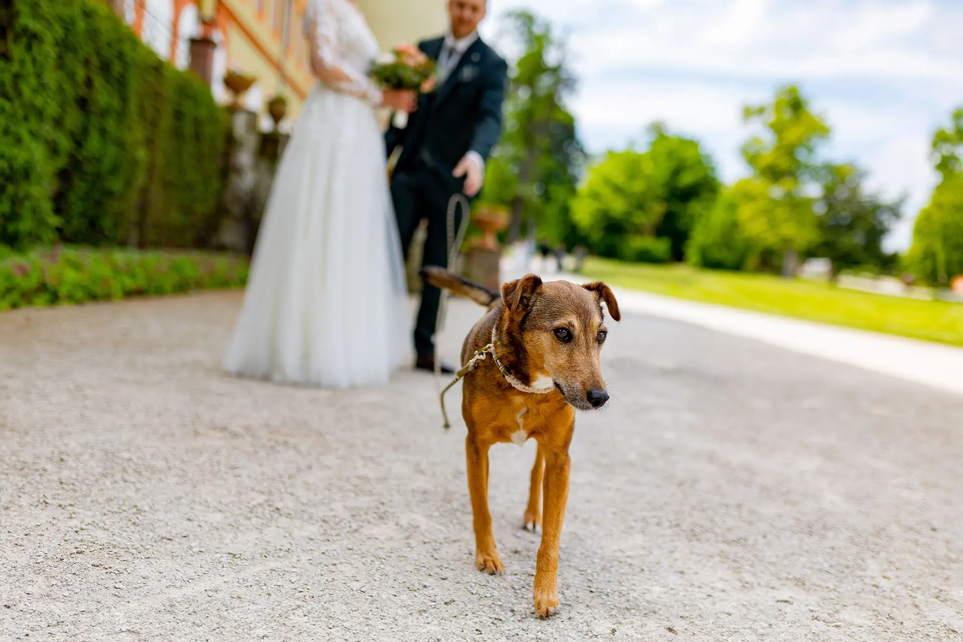 first-look-hochzeitsfotografie-tipps-fuer-brautpaare-4