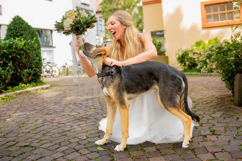 Hund Klaut Den Brautstrauss Auf Einer Hochzeit In Mannheim.DmatlWgZ Hochzeitsfotograf Mannheim: Hund klaut Brautstrauß