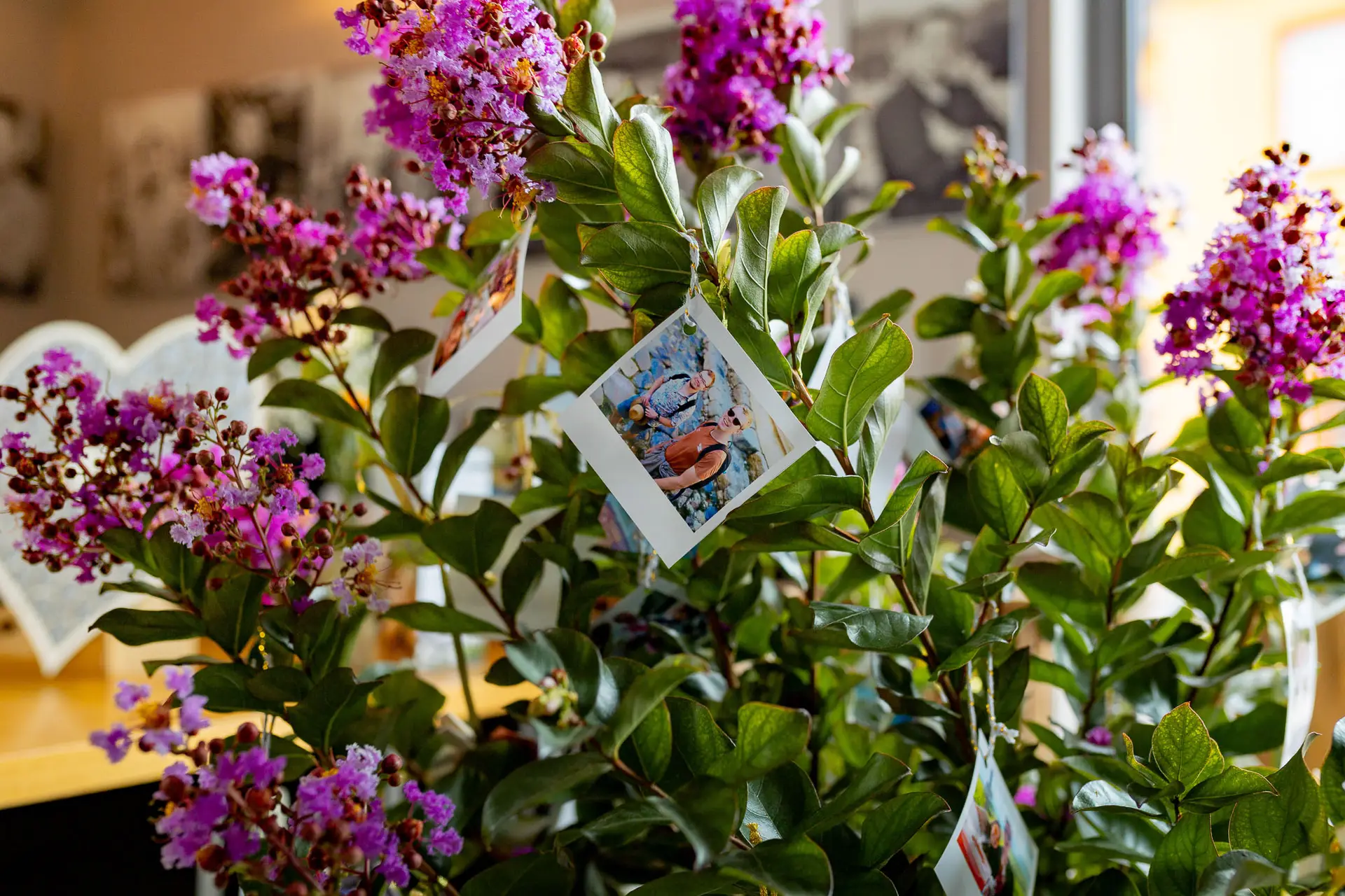 Pflanze mit Polaroid-Fotos als Hochzeitsdeko neben dem Gästebuch im Wallhäuser Weintreff