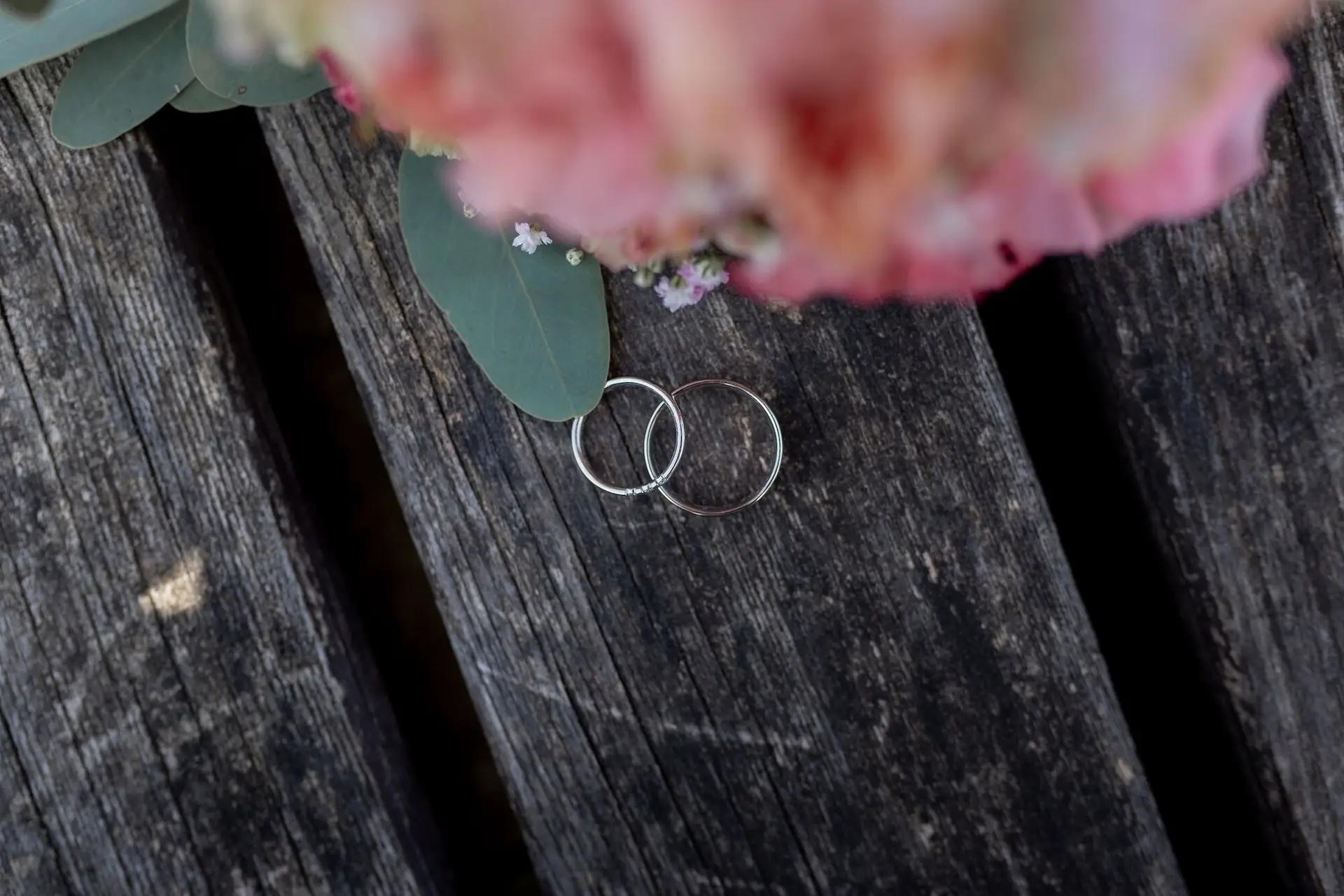 Silberne Eheringe auf verwittertem Holz neben Rosenblüten beim Brautpaarshooting