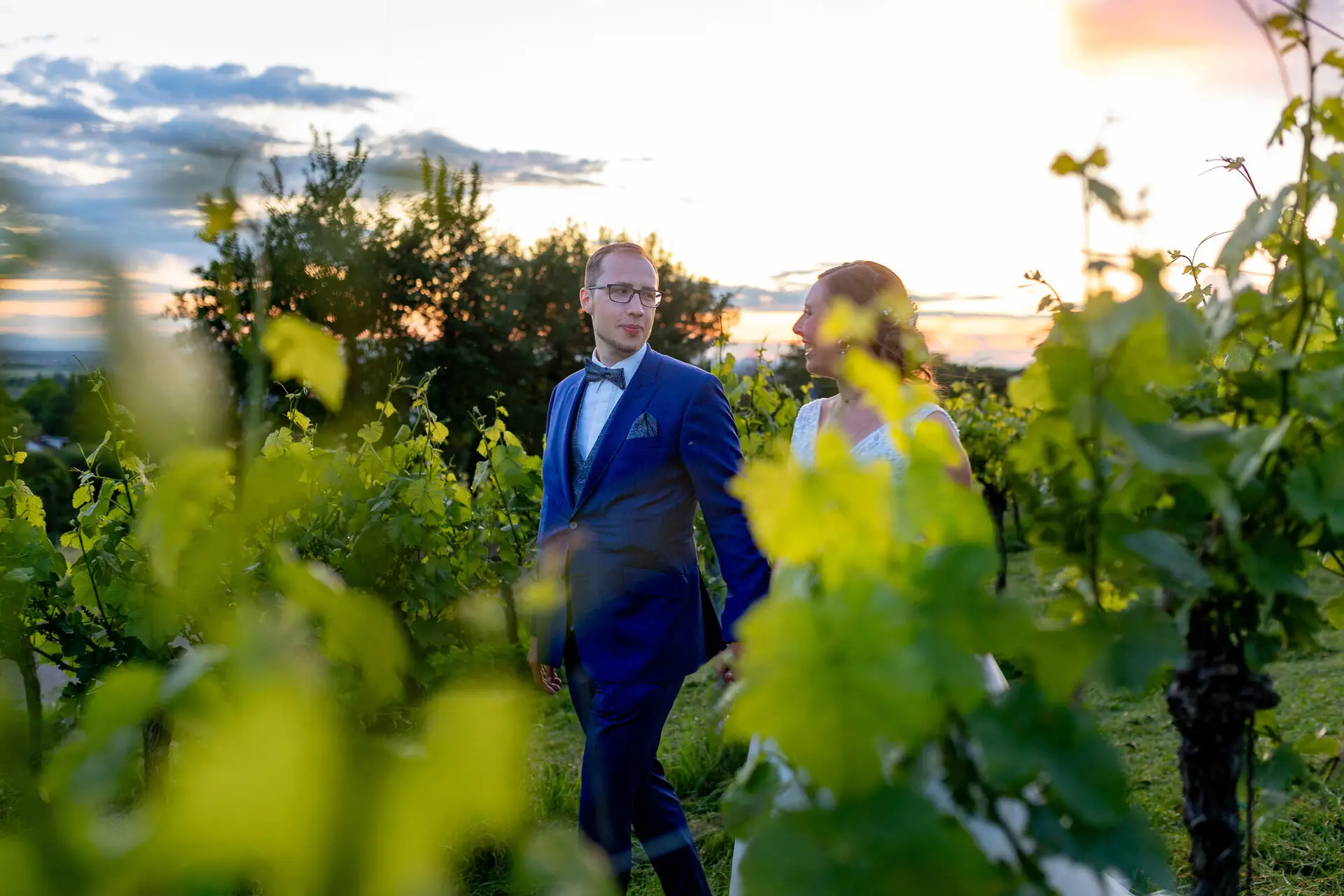 Brautpaar schlendert eng umschlungen durch die Weinreben des Grenzhofs bei warmem Abendlicht
