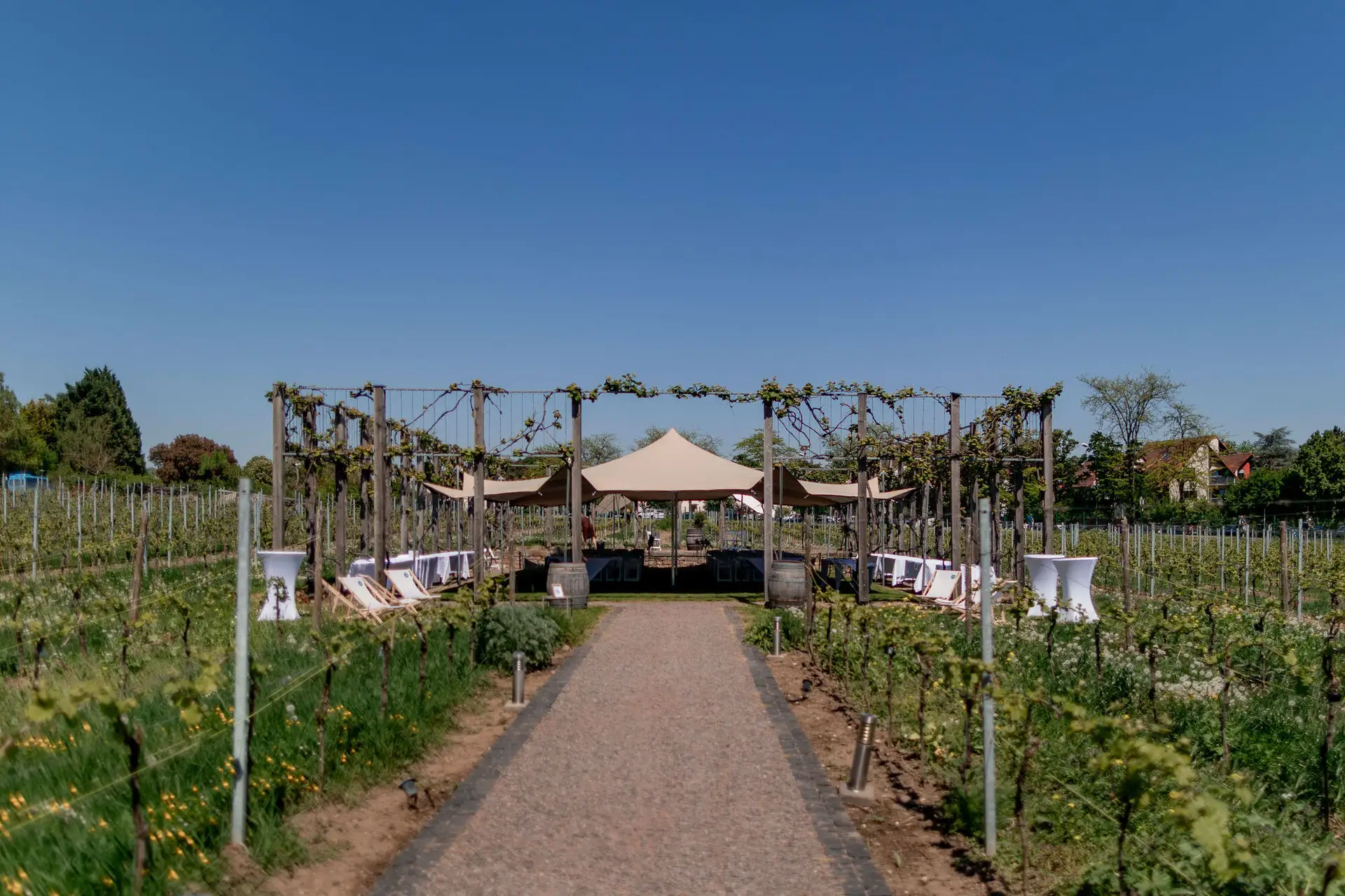 20250501 13 22 364K8A2788 Hochzeitslocation Bad Duerkheim Fritz Ritter Weingut.DSiZWmpH Hochzeitslocation Fitz‑Ritter